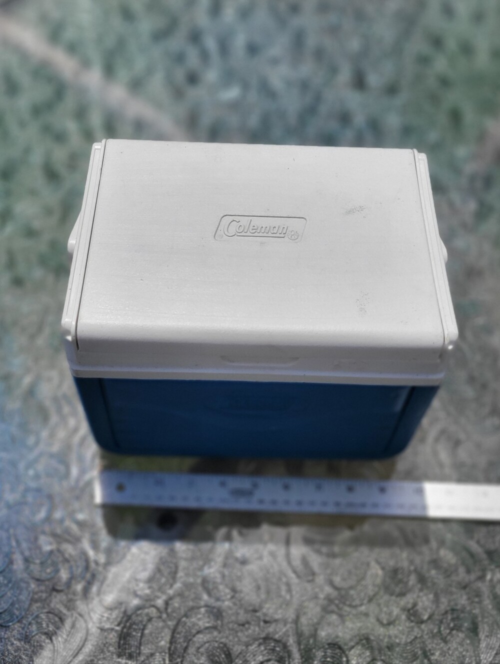 Coleman Personal Cooler